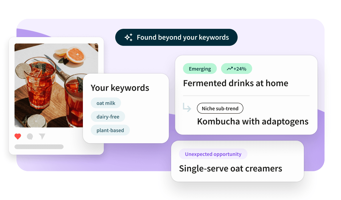 Dashboard showing keyword search results with red fermented drinks, highlighting trends like kombucha with adaptogens.