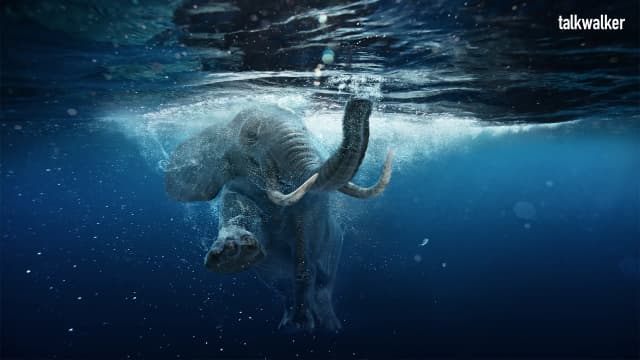 Featured image for The social media strategy templates to make your year epic