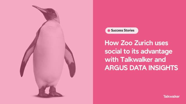 Featured image for How Zoo Zurich uses social to its advantage with Talkwalker and ARGUS DATA INSIGHTS