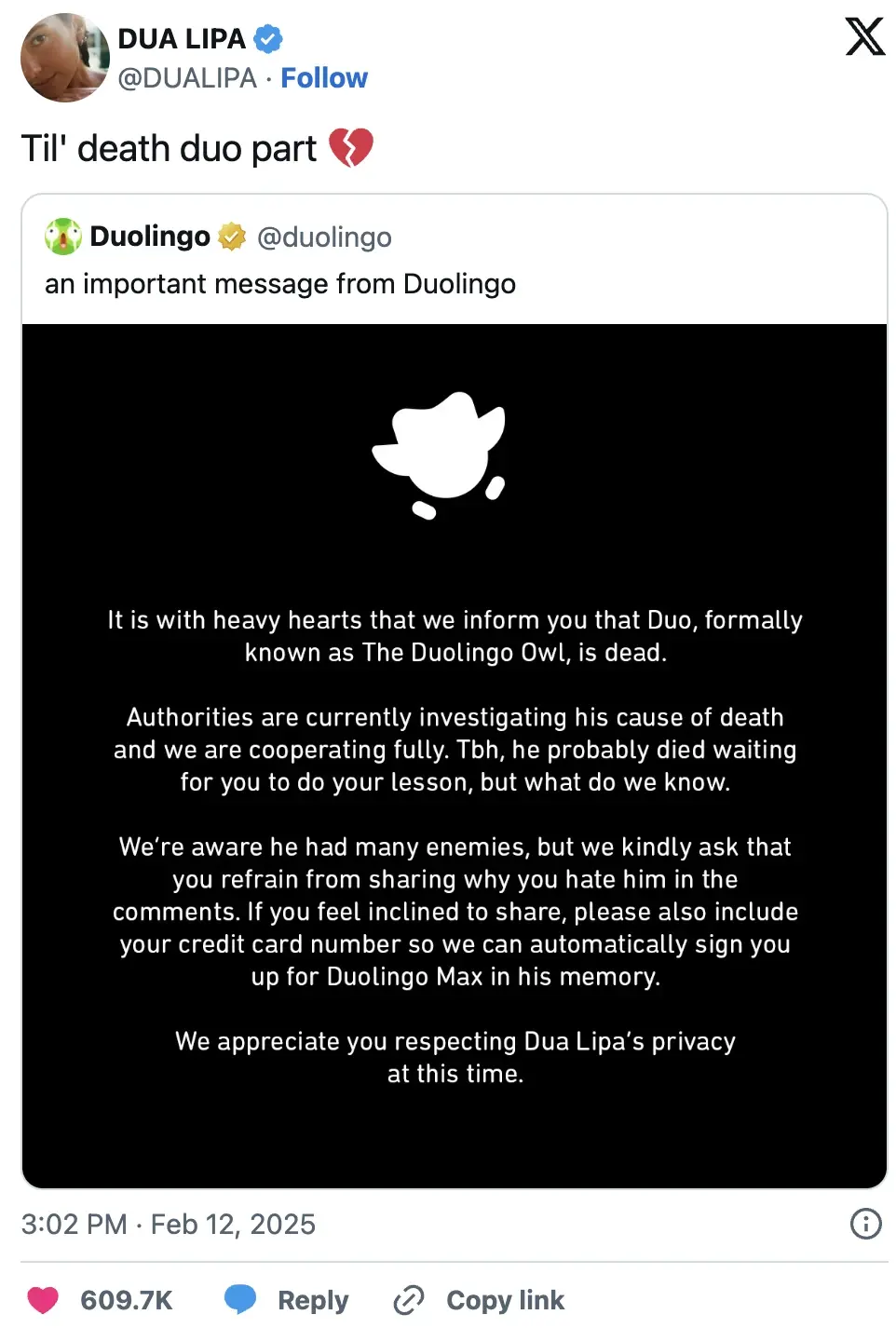 Dua Lipa (@DUALIPA on Instagram) replying to Duolingo