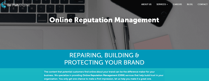 Herramienta de gestión de reputación en línea - Go Fish