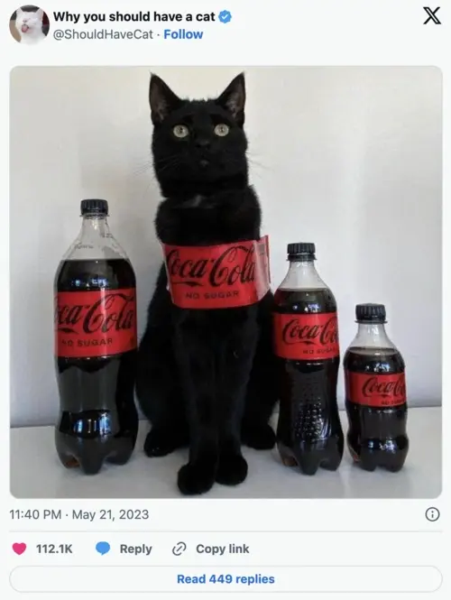 Photo on social media of a black cat with a red "Coca-Cola" label across its chest.