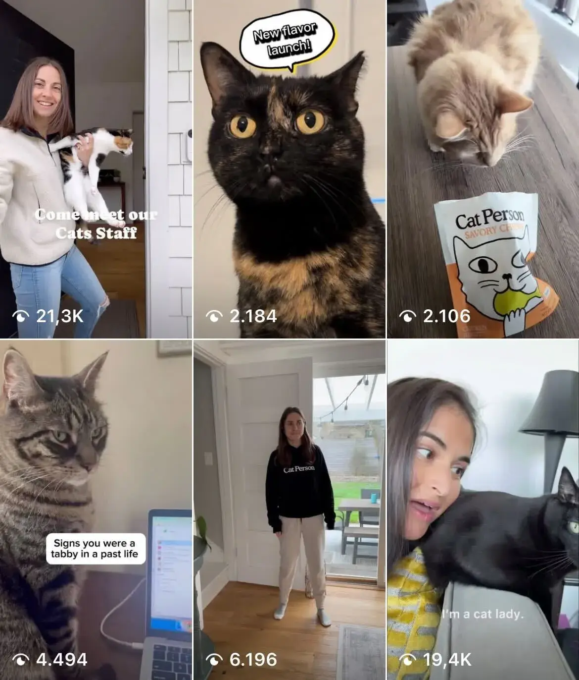Grid of 6 thumnails for cat videos