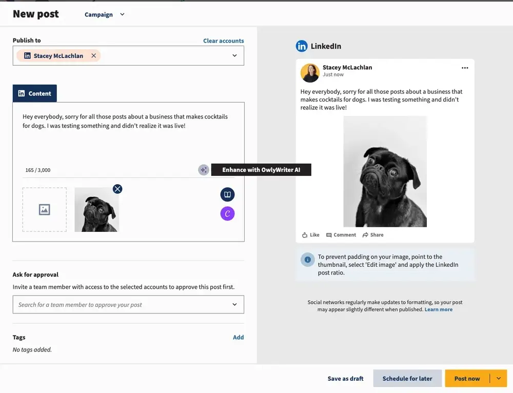 Screenshot of preceding instructions