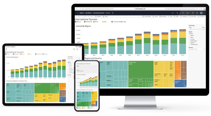 Customer analytics tools - Tableau screens data and charts