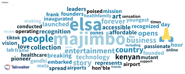 Top themes surrounding ‘Elsa Majimbo’ during the past 13 months on Twitter