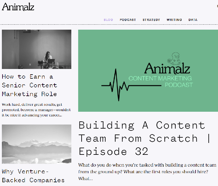 best digital marketing blog: Animalz